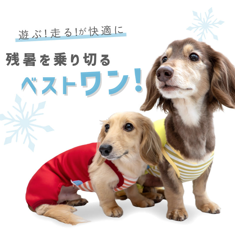 接觸涼感針織雙面布條紋無袖連身衣(臘腸狗・小型犬用)
