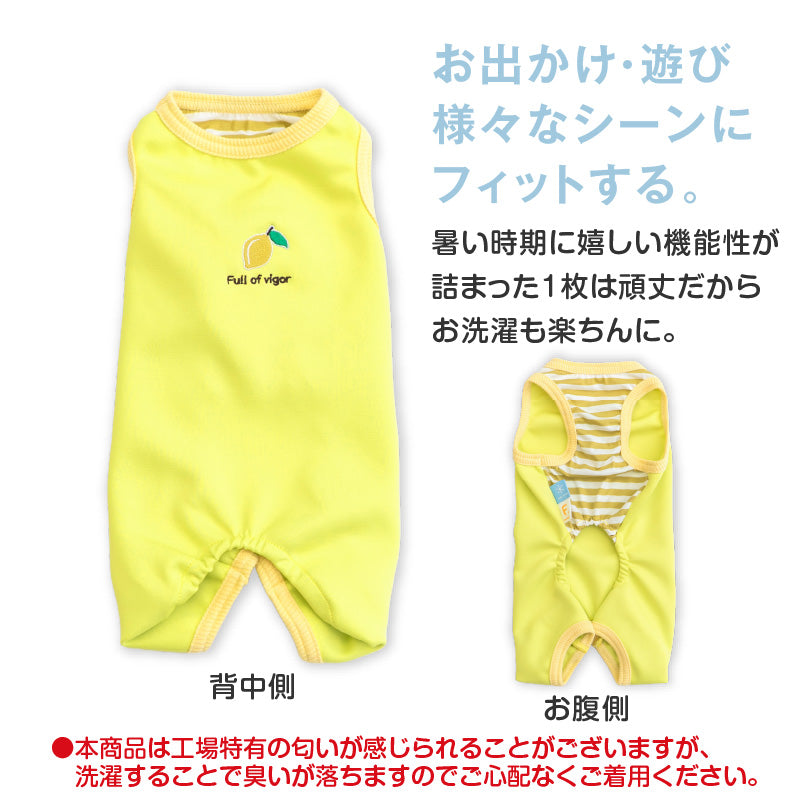 接觸涼感針織雙面布條紋無袖連身衣(臘腸狗・小型犬用)