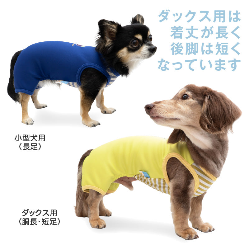 接觸涼感針織雙面布條紋無袖連身衣(臘腸狗・小型犬用)