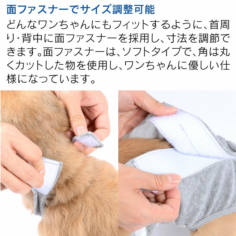 條紋毛圈布工作服款保潔介護服(介護服マナーガード®)(男女兼用/臘腸狗・小型犬用)