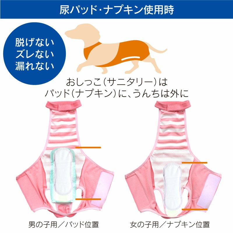 條紋毛圈布工作服款保潔介護服(介護服マナーガード®)(男女兼用/臘腸狗・小型犬用)
