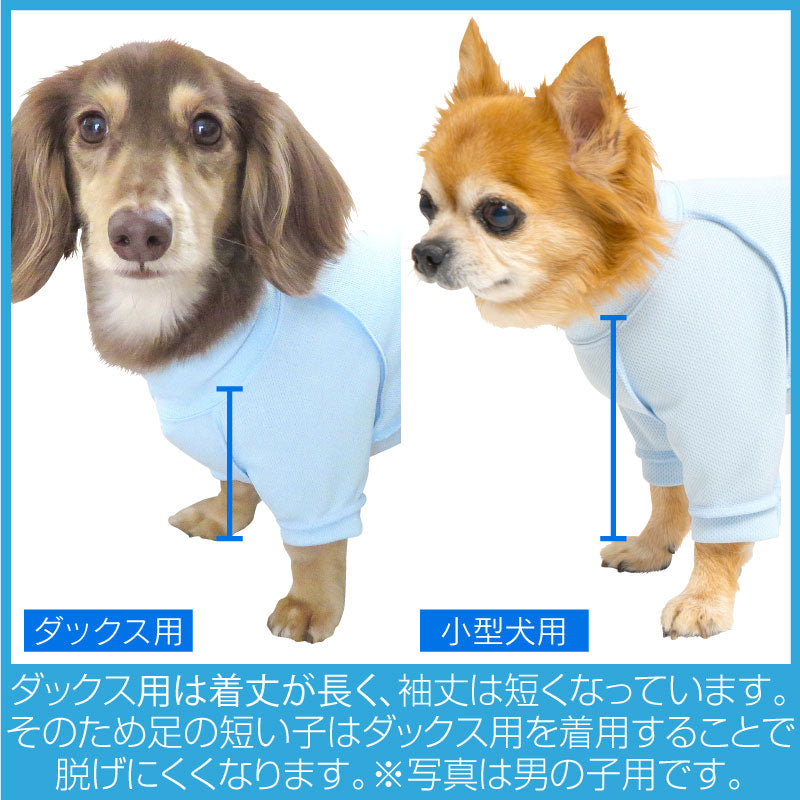 皮膚保護服(皮膚保護服スキンウエア®)(女用 / 臘腸犬・小型犬用 / 抗菌・除臭材質)