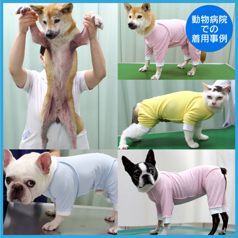 皮膚保護服(皮膚保護服スキンウエア®)(女用 / 臘腸犬・小型犬用 / 抗菌・除臭材質)