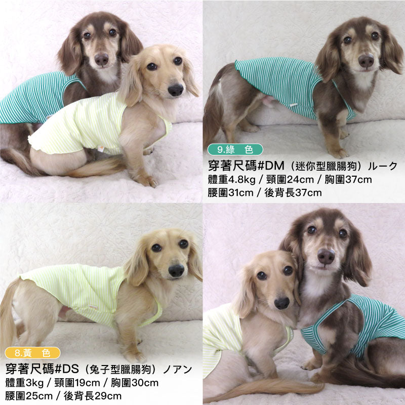 羅紋針織條紋吊帶背心(臘腸狗・小型犬用)