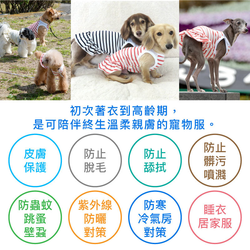 肩膀透氣剪接荷葉邊條紋連身裙(臘腸狗・小型犬用)