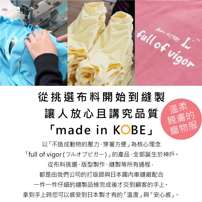 肩膀透氣剪接荷葉邊條紋連身裙(臘腸狗・小型犬用)