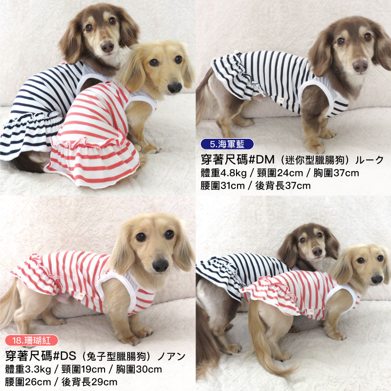 肩膀透氣剪接荷葉邊條紋連身裙(臘腸狗・小型犬用)