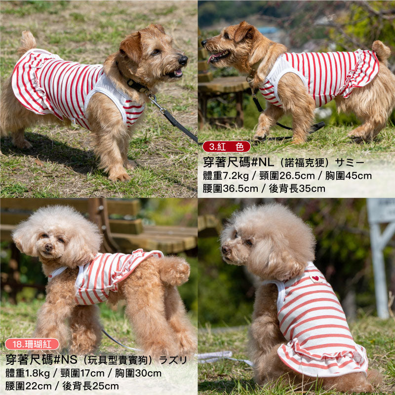 肩膀透氣剪接荷葉邊條紋連身裙(臘腸狗・小型犬用)