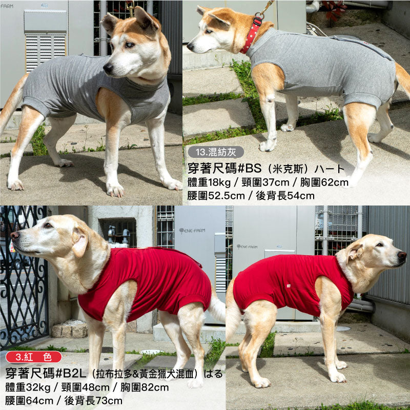 F.天竺棉術後服(術後服エリザベスウエア®)(女用/大型犬用/彈性材質)