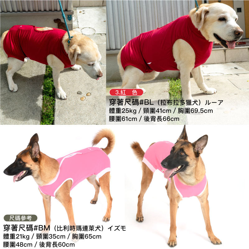 F.天竺棉術後服(術後服エリザベスウエア®)(女用/大型犬用/彈性材質)