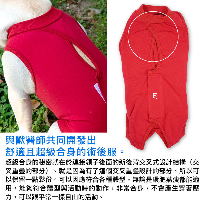 F.天竺棉術後服(術後服エリザベスウエア®)(女用/大型犬用/彈性材質)