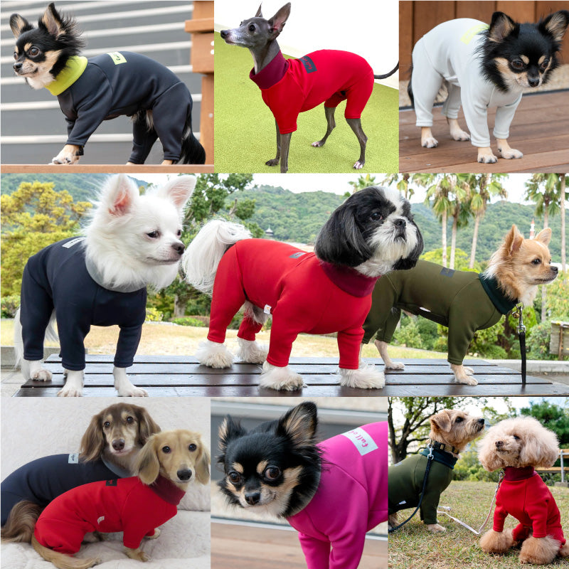 DOGPLAY®內刷毛Rash Guard(臘腸狗・小型犬用)