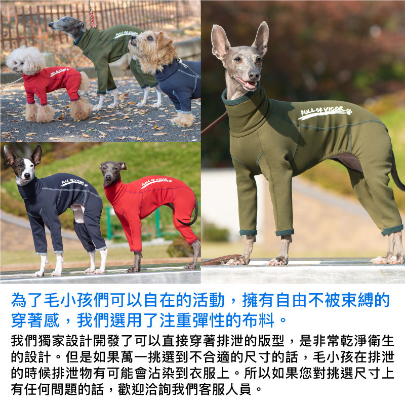 DOGPLAY®內刷毛Rash Guard (靈緹犬用)