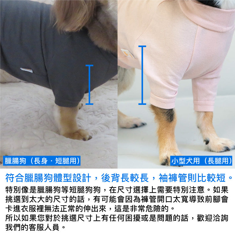 天竺棉拉克蘭袖T恤(臘腸狗・小型犬用)