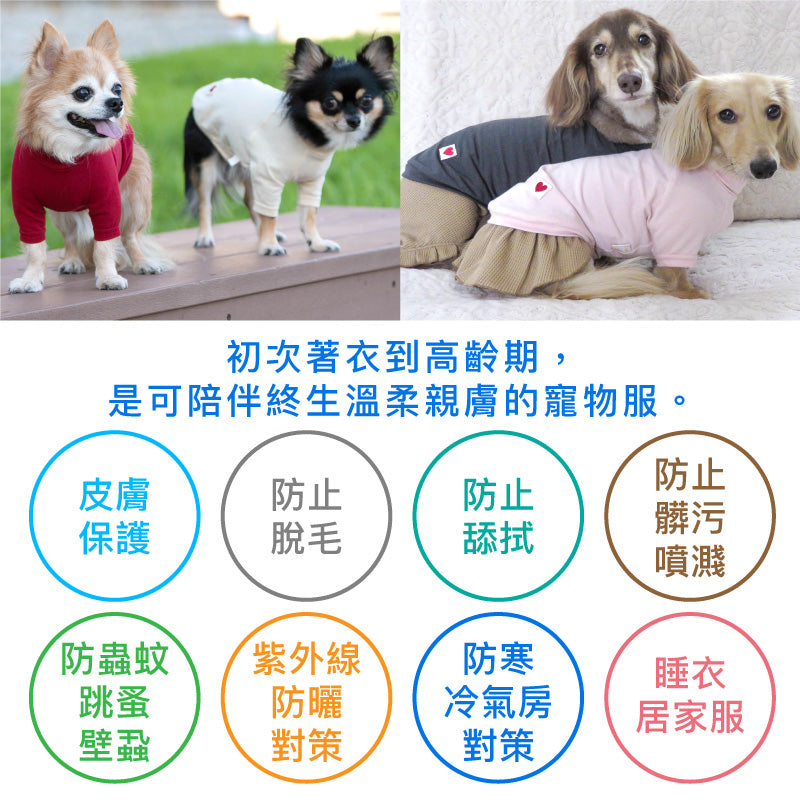 天竺棉拉克蘭袖T恤(臘腸狗・小型犬用)