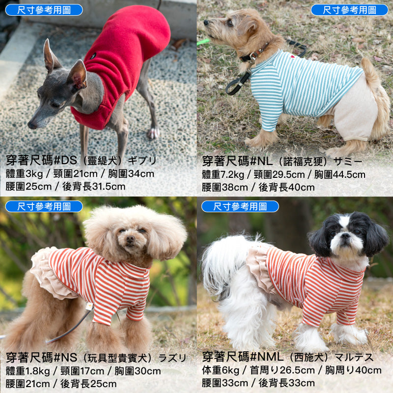 天竺棉拉克蘭袖T恤(臘腸狗・小型犬用)