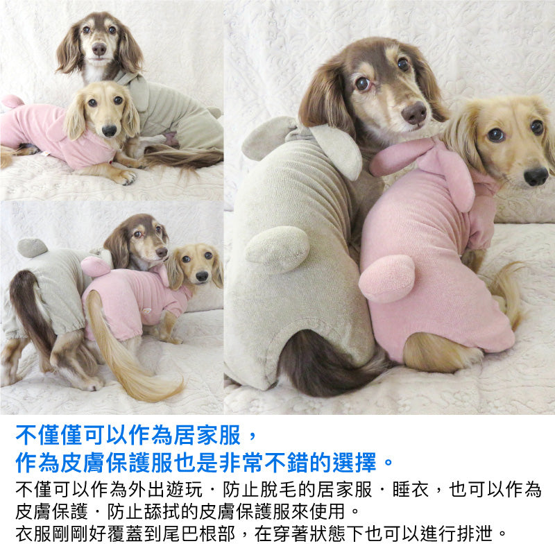 【20%OFF優惠對象】【10/17 0時~10/19 23時59分為止】【2023年秋冬新款】兔耳朵毛圈布居家服(臘腸狗・小型犬)