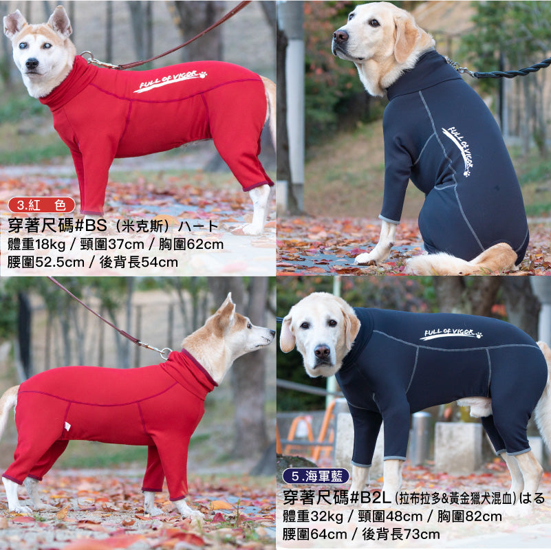 DOGPLAY®內刷毛Rash Guard (大型犬用)