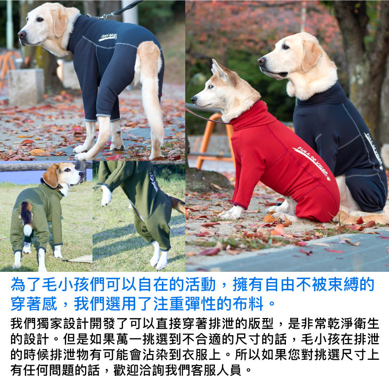DOGPLAY®內刷毛Rash Guard (大型犬用)