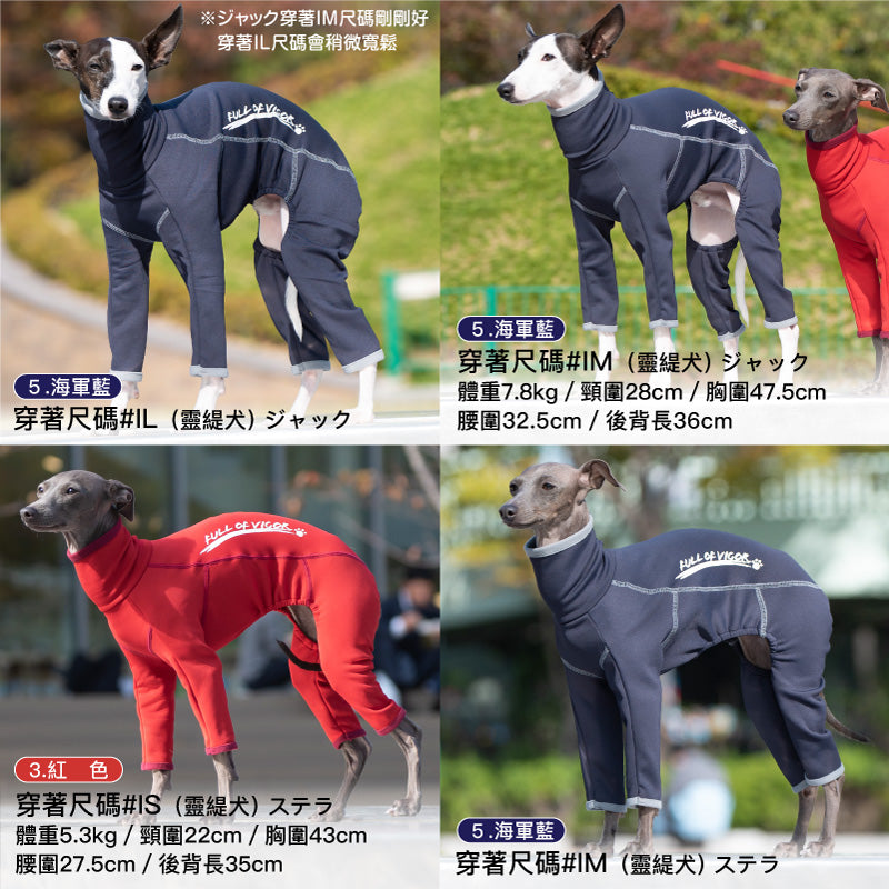 DOGPLAY®內刷毛Rash Guard (靈緹犬用)