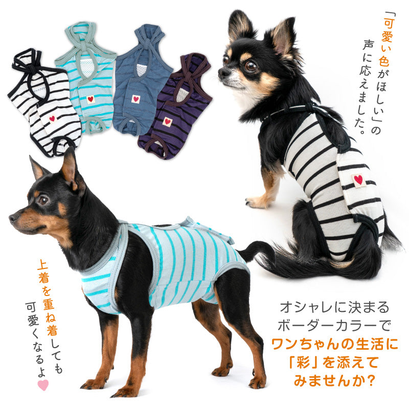 條紋天竺棉介護服(介護服マナーガード®)(臘腸狗・小型犬用)