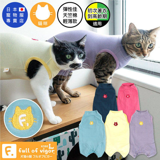 \ 😺再入荷 /