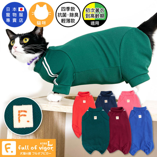 \ 再入荷快訊😺 /