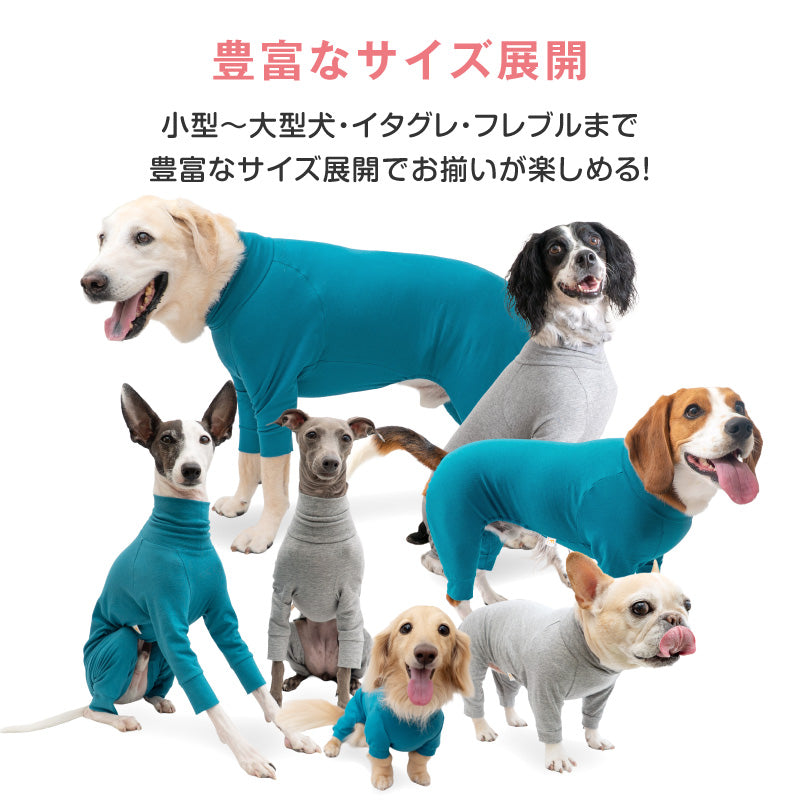 【定番人氣商品】簡約長袖內搭連身衣（臘腸狗用）
