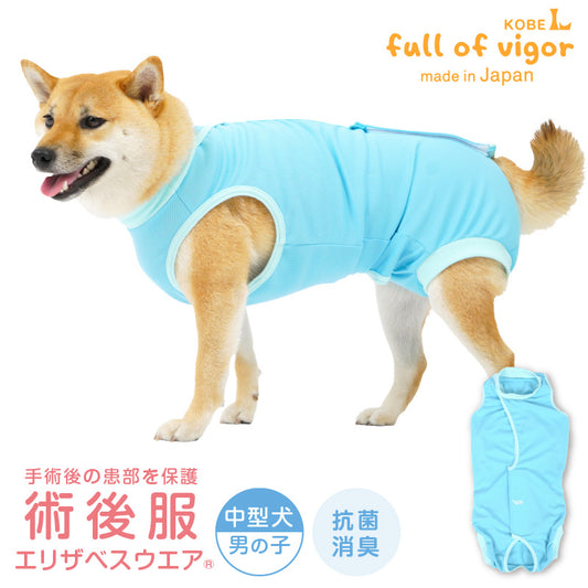 術後服(術後服エリザベスウエア®)(男用 / 中型犬用 / 抗菌・除臭材質)