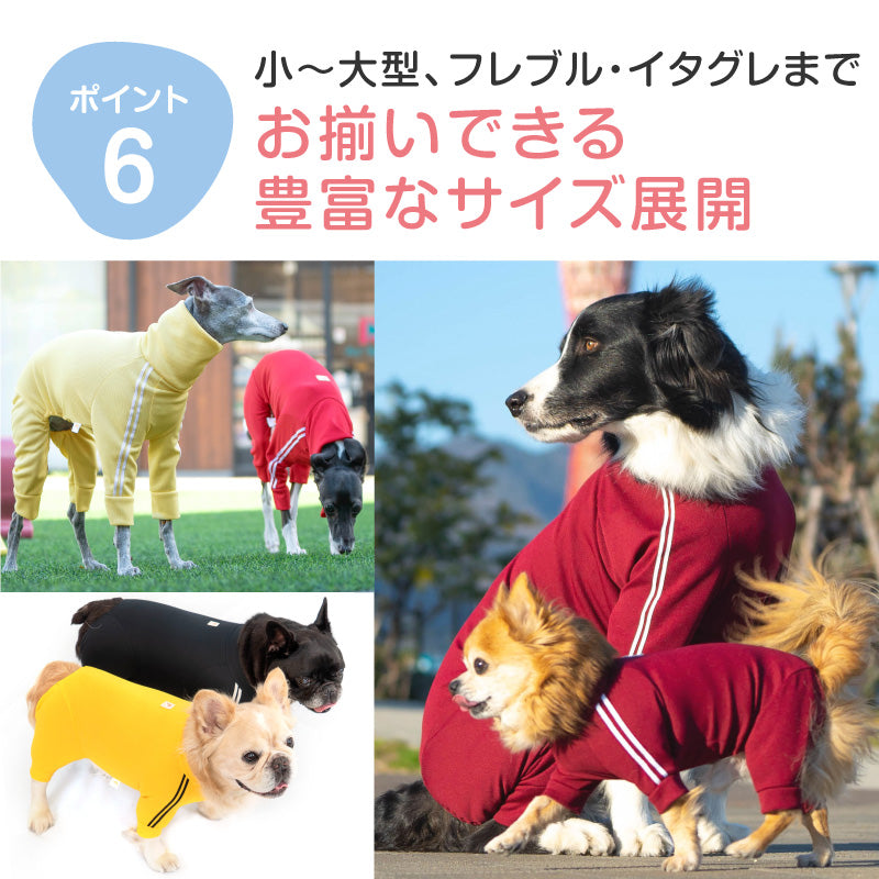 DOGPLAY®體育運動服連身衣(臘腸狗用)