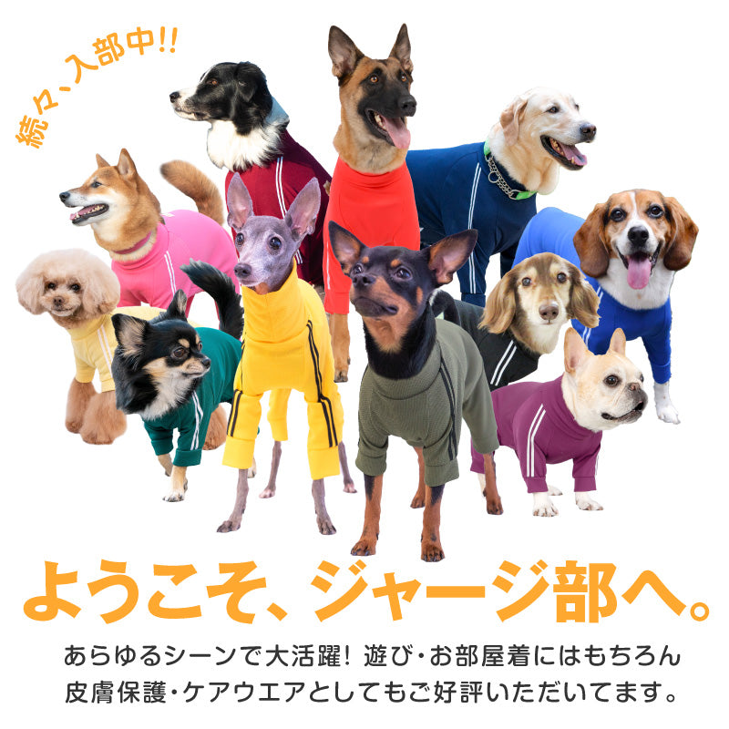 DOGPLAY®體育運動服連身衣(臘腸狗用)