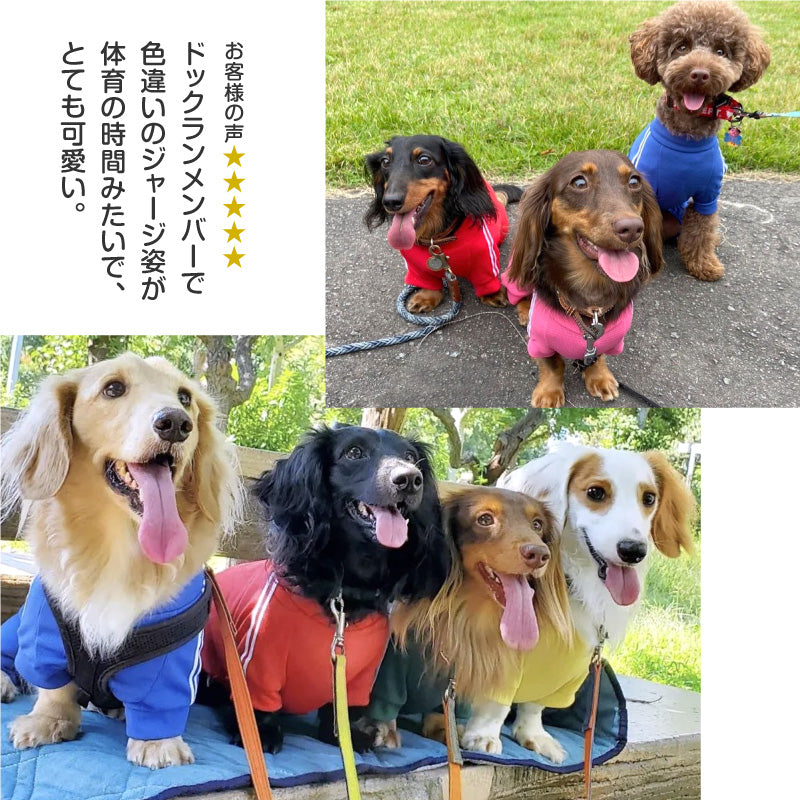 DOGPLAY®體育運動服連身衣(臘腸狗用)