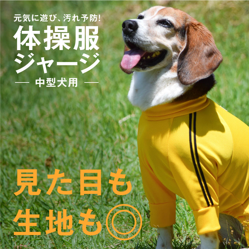 DOGPLAY®體育運動服連身衣(中型犬用)