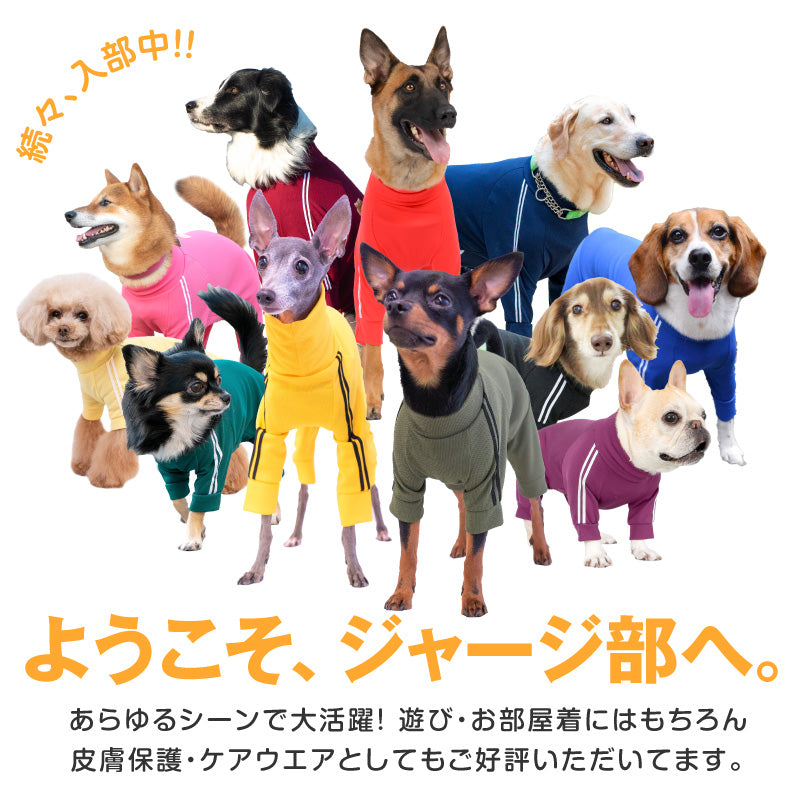 DOGPLAY®體育運動服連身衣(中型犬用)