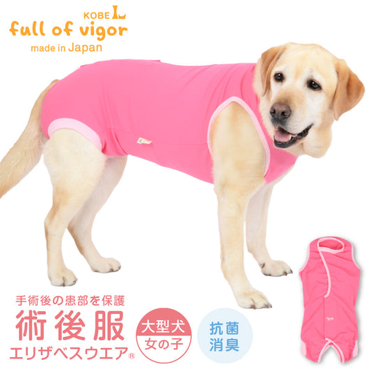 術後服(術後服エリザベスウエア®)(女用 / 大型犬用 / 抗菌・除臭材質)