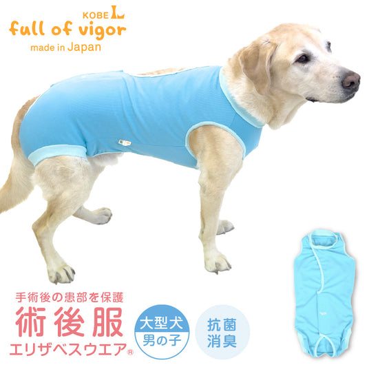 術後服(術後服エリザベスウエア®)(男用 / 大型犬用 / 抗菌・除臭材質)