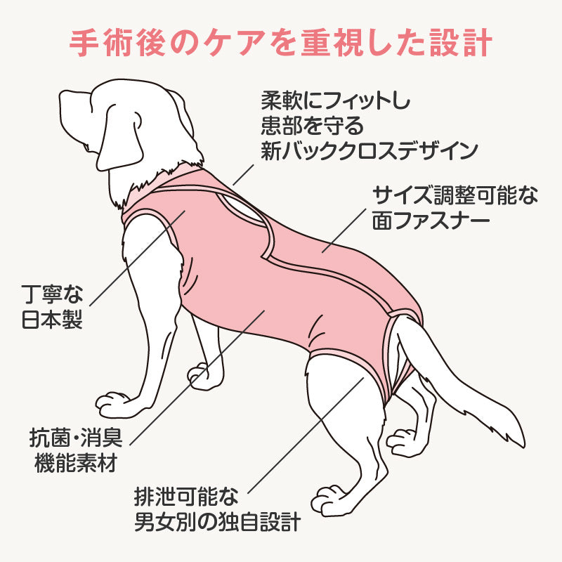 術後服（術後服エリザベスウエア®）（女用 / 法鬥犬用 / 抗菌・除臭材質）