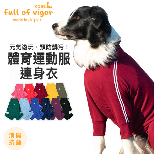 DOGPLAY®體育運動服連身衣(大型犬用)
