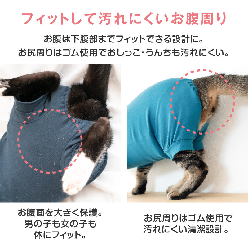 【定番人氣商品】貓用簡約短袖連身衣