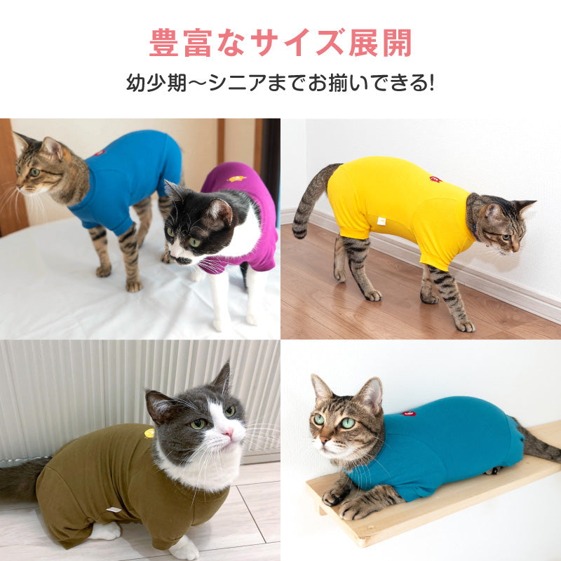【定番人氣商品】貓用簡約短袖連身衣