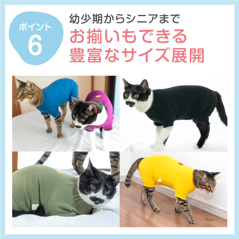 【招牌人氣商品】貓用簡約短袖連身衣