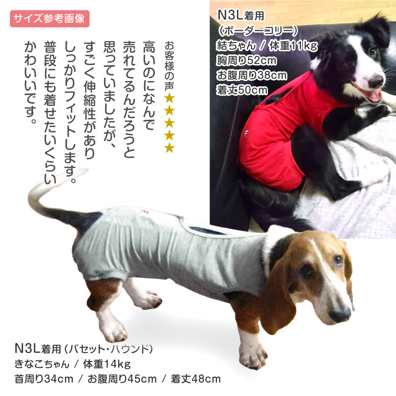 F.天竺棉術後服（術後服エリザベスウエア®）（男用／中型犬用／彈性材質）