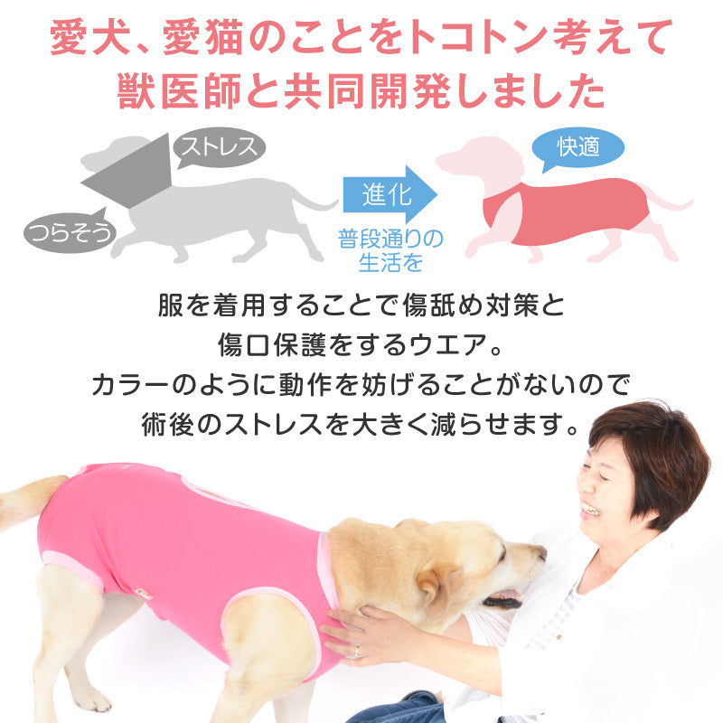 F.天竺棉術後服（術後服エリザベスウエア®）（男用／中型犬用／彈性材質）