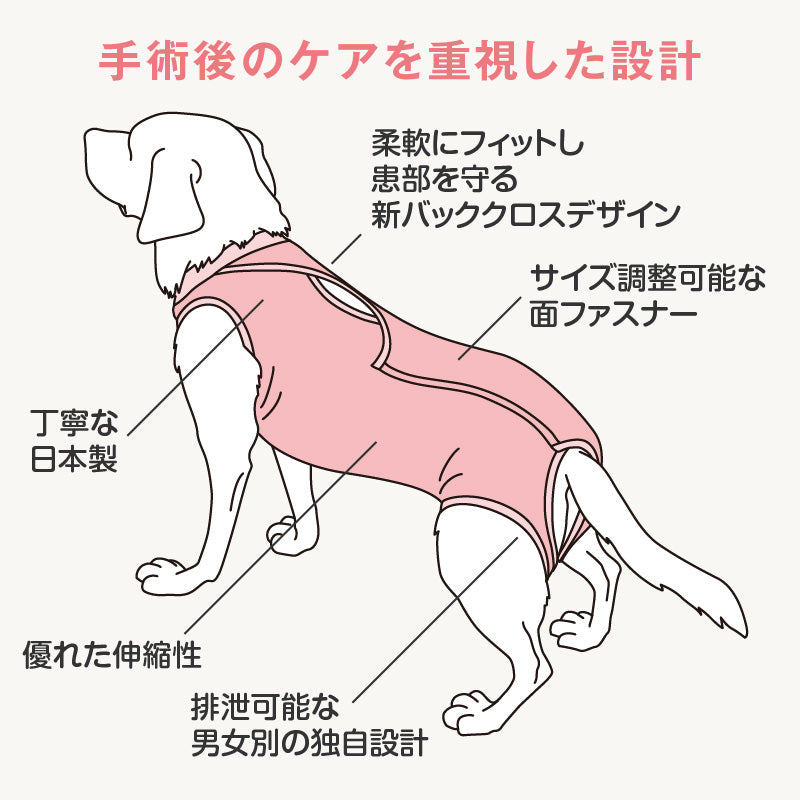F.天竺棉術後服（術後服エリザベスウエア®）（男用／中型犬用／彈性材質）