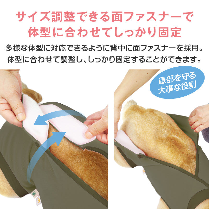 F.天竺棉術後服（術後服エリザベスウエア®）（男用／中型犬用／彈性材質）