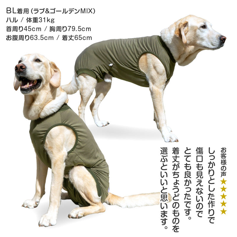 F.天竺棉術後服（術後服エリザベスウエア®）（男用／大型犬用／彈性材質）