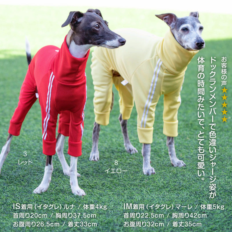 DOGPLAY®體育運動服連身衣（靈緹犬用）