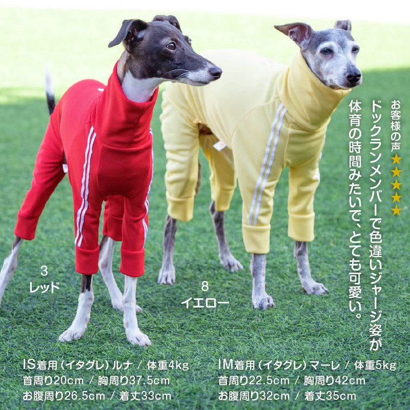 DOGPLAY®體育運動服連身衣（靈緹犬用）