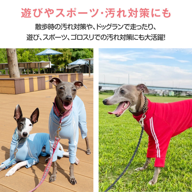 DOGPLAY®體育運動服連身衣（靈緹犬用）