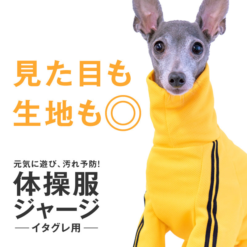 DOGPLAY®體育運動服連身衣（靈緹犬用）